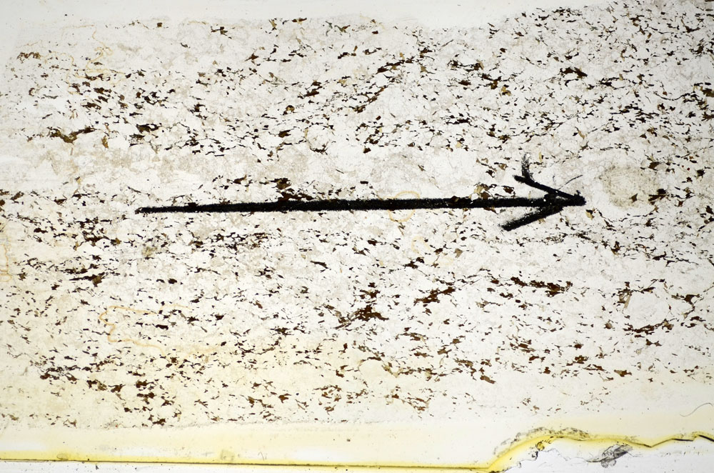Plane Polarized, S85198