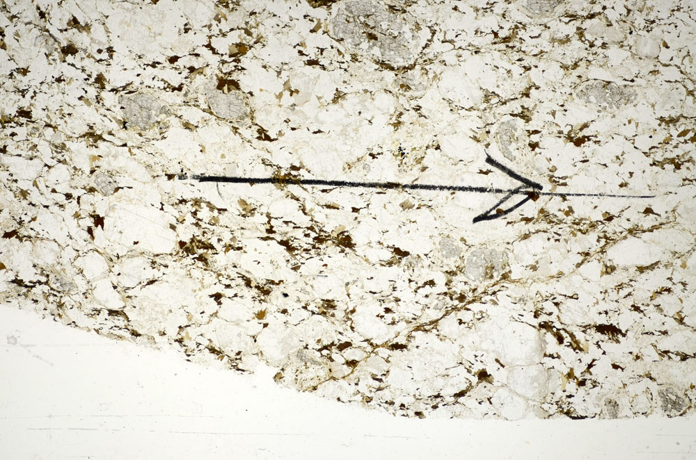 Plane Polarized, S85209