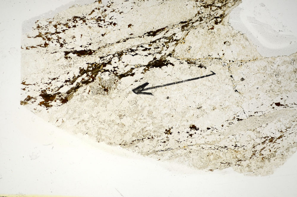 Plane Polarized, S85213