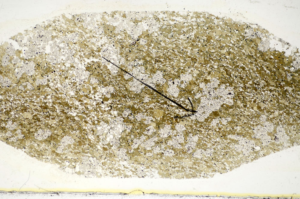 Plane Polarized, S85214