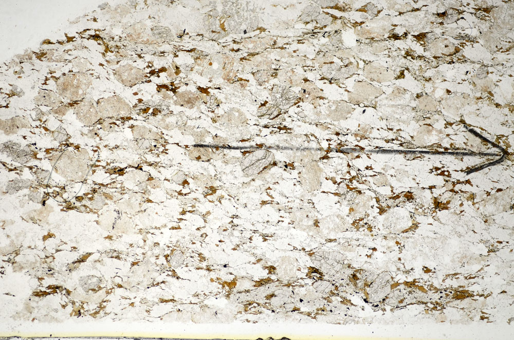 Plane Polarized, S85217