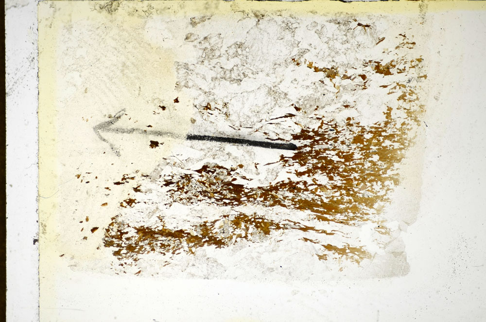 Plane Polarized, S85219