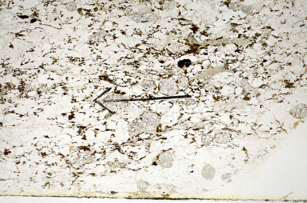 Plane Polarized, S85222