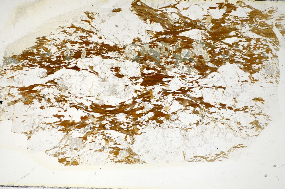 Plane Polarized, S85223