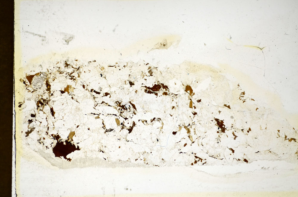Plane Polarized, S85225
