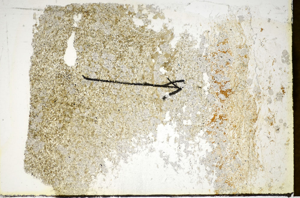Plane Polarized, S85226
