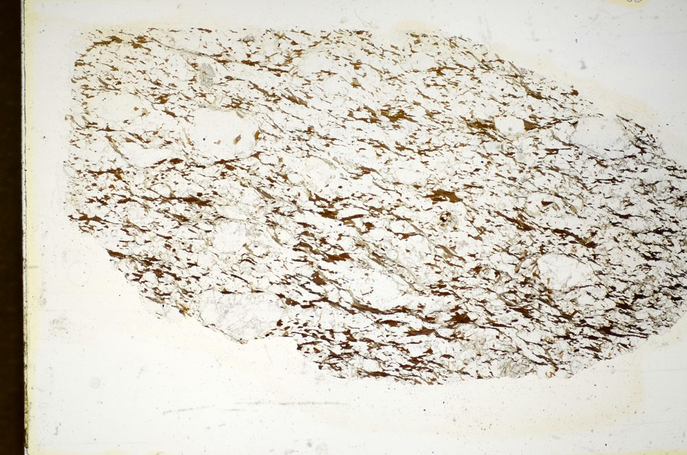 Plane Polarized, S85235