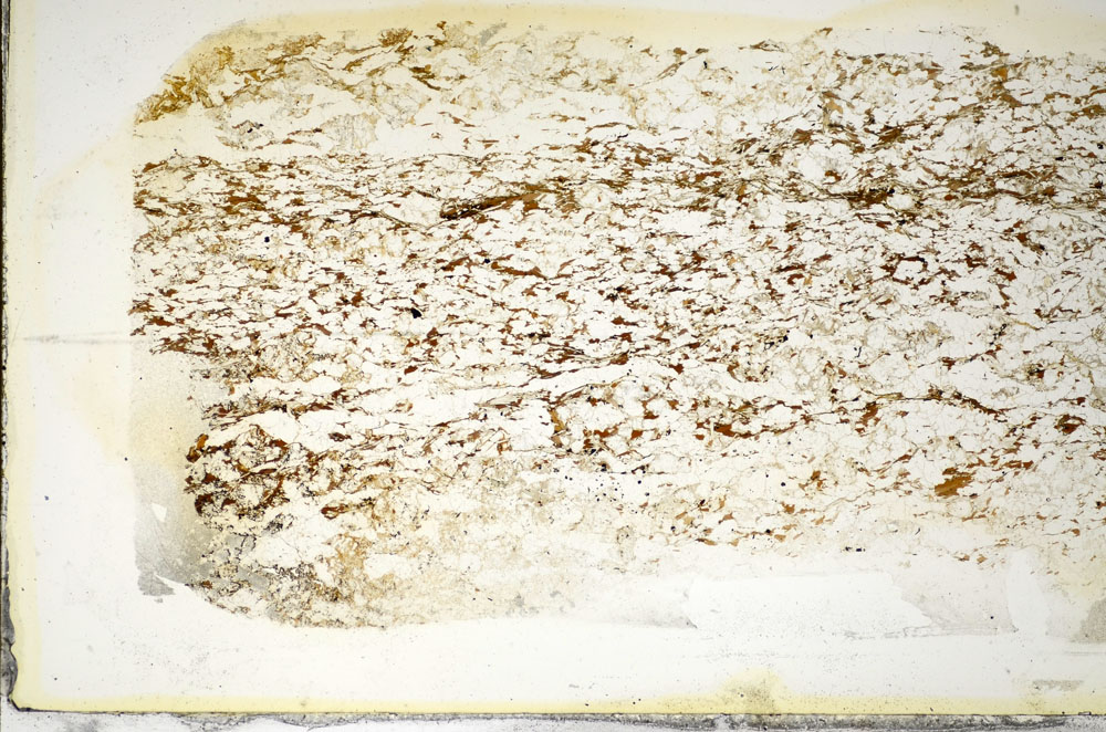 Plane Polarized, S85236