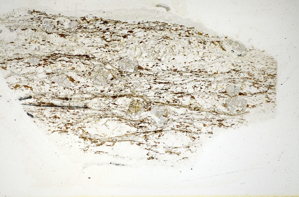 Plane Polarized, S85237