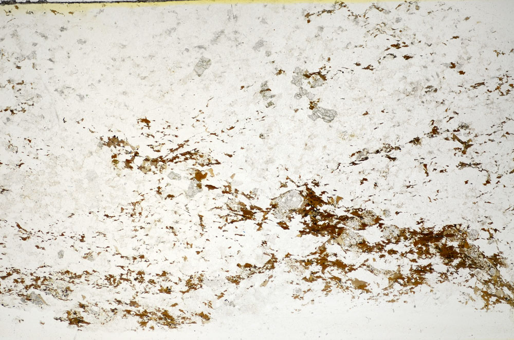 Plane Polarized, S85244
