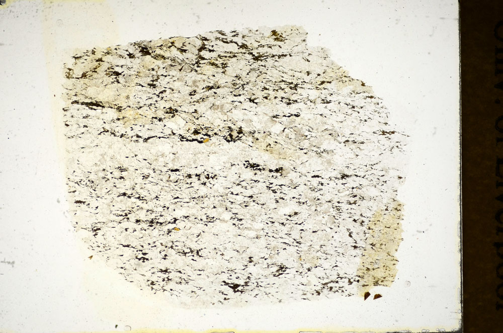 Plane Polarized, S85253