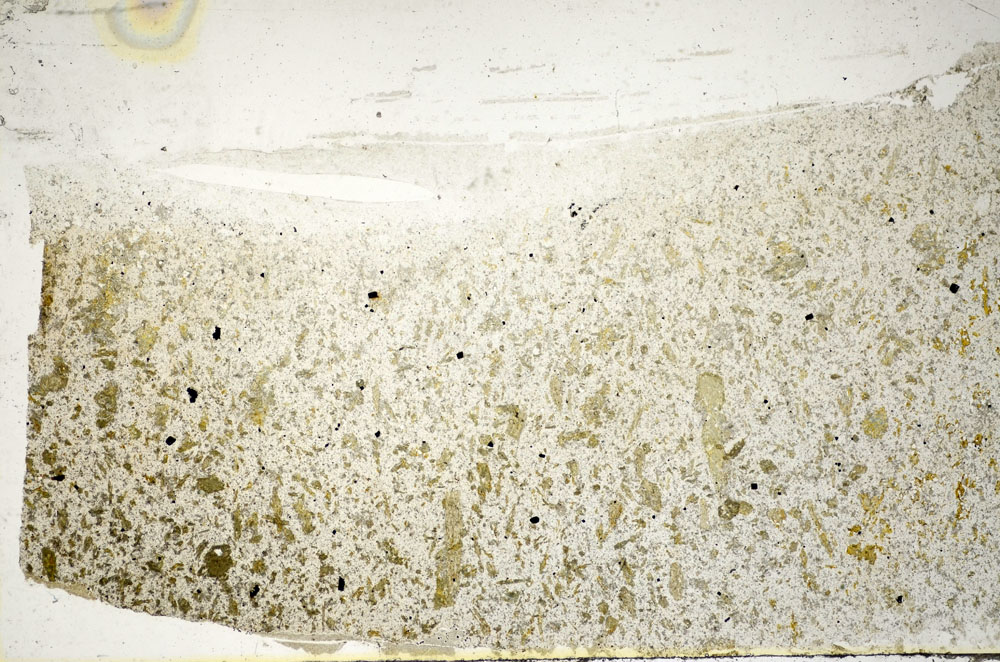Plane Polarized, S85256