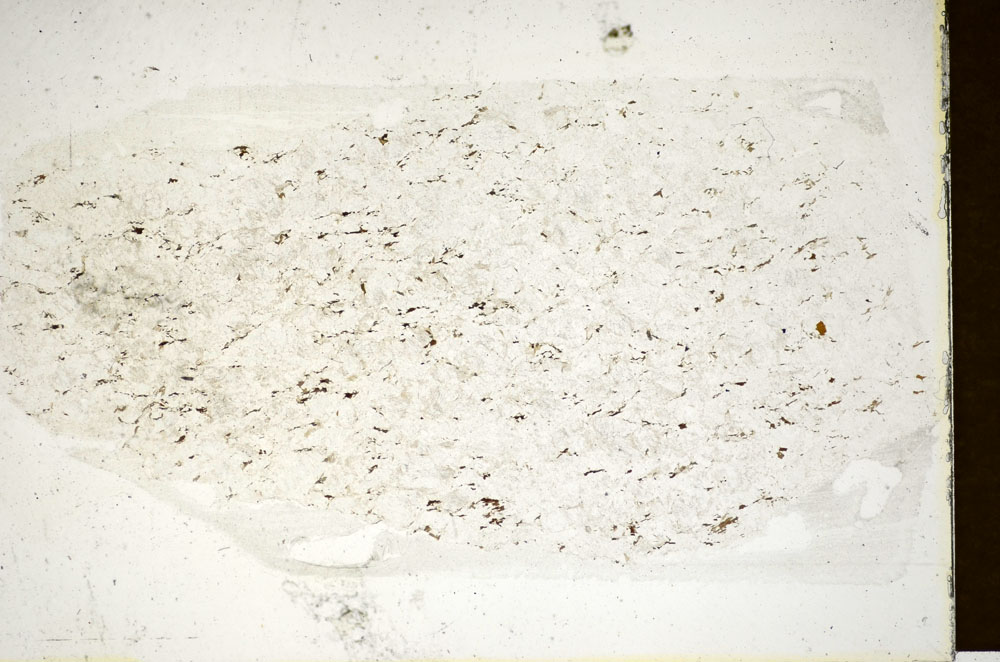 Plane Polarized, S85257