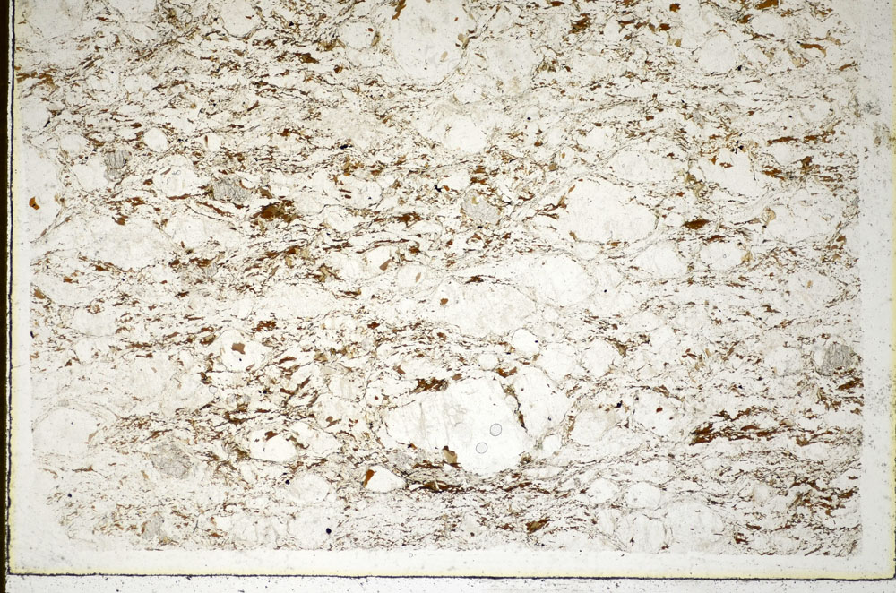 Plane Polarized, S85258