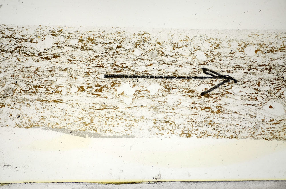 Plane Polarized, S85262