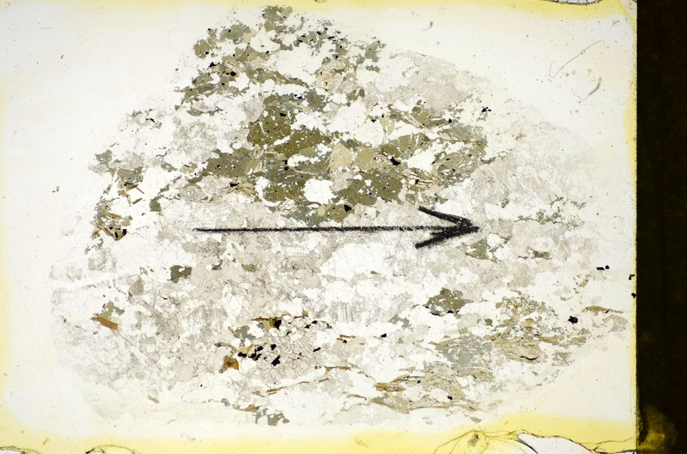 Plane Polarized, S85293