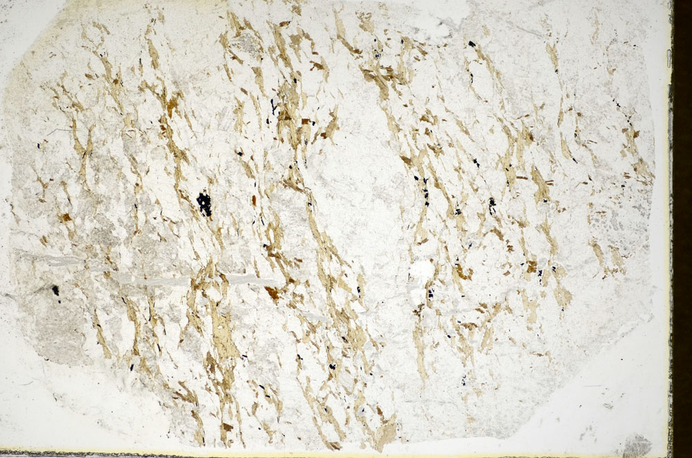 Plane Polarized, S85295
