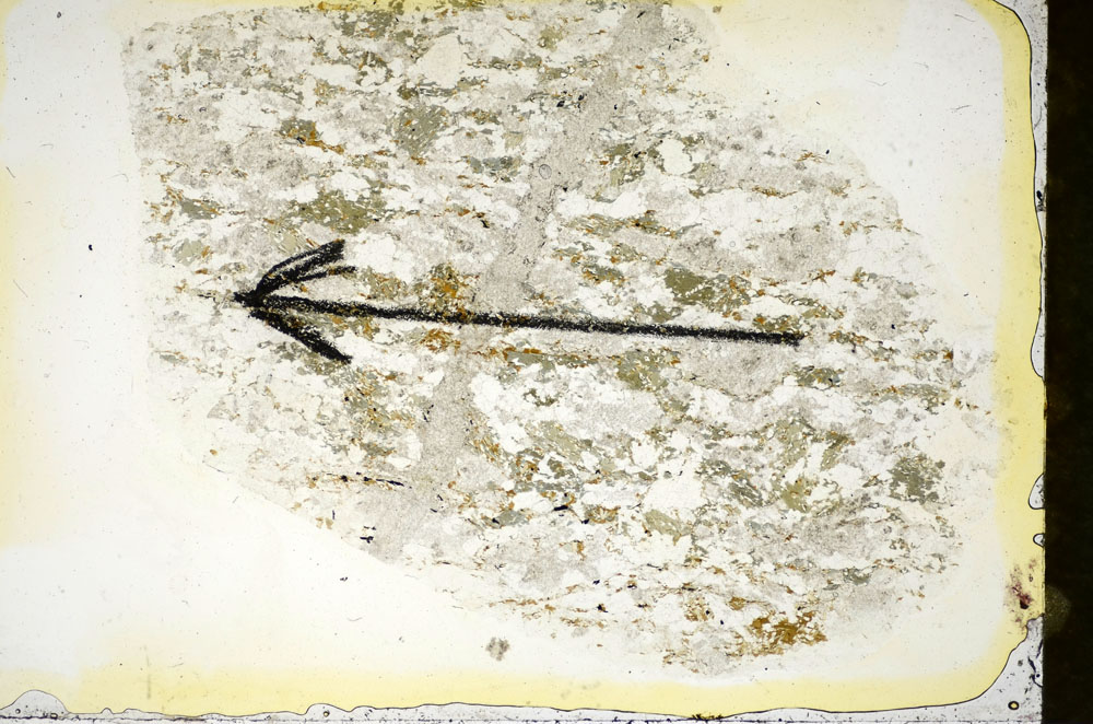 Plane Polarized, S85297