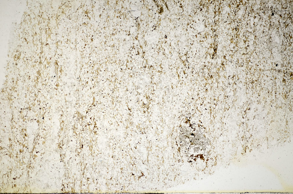 Plane Polarized, S85309