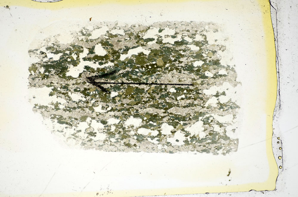 Plane Polarized, S85310