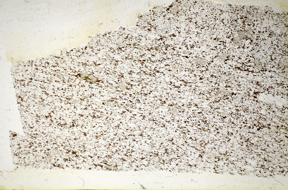 Plane Polarized, S85315
