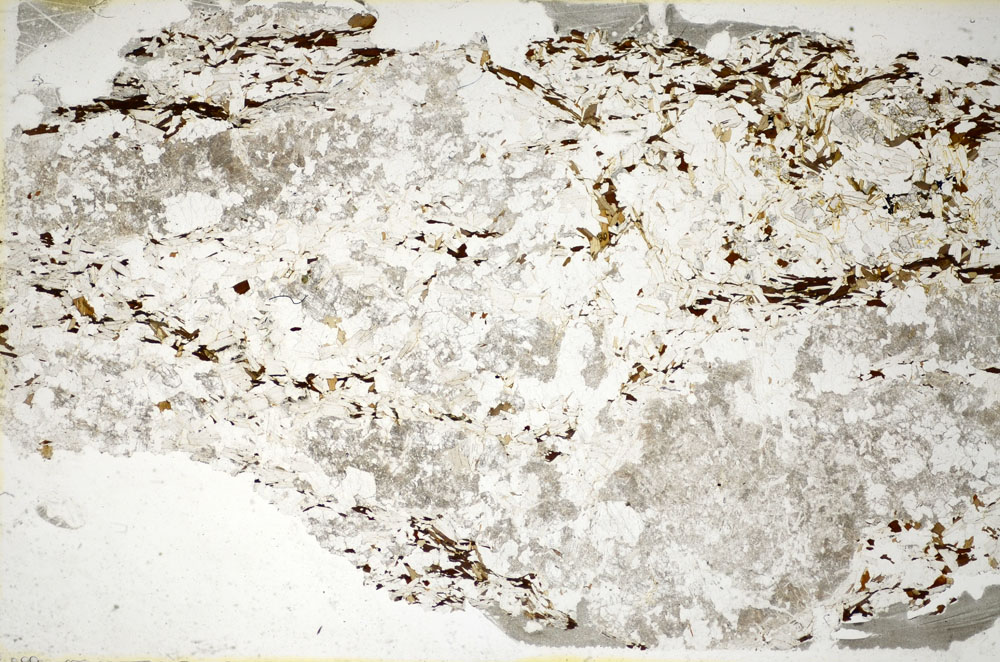 Plane Polarized, S85316