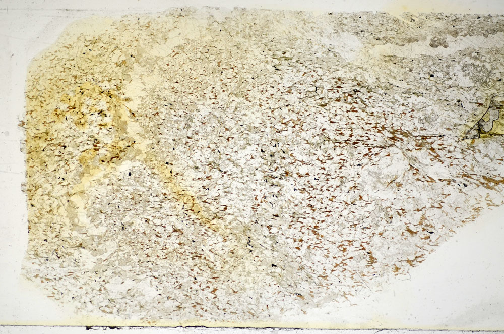 Plane Polarized, S85321