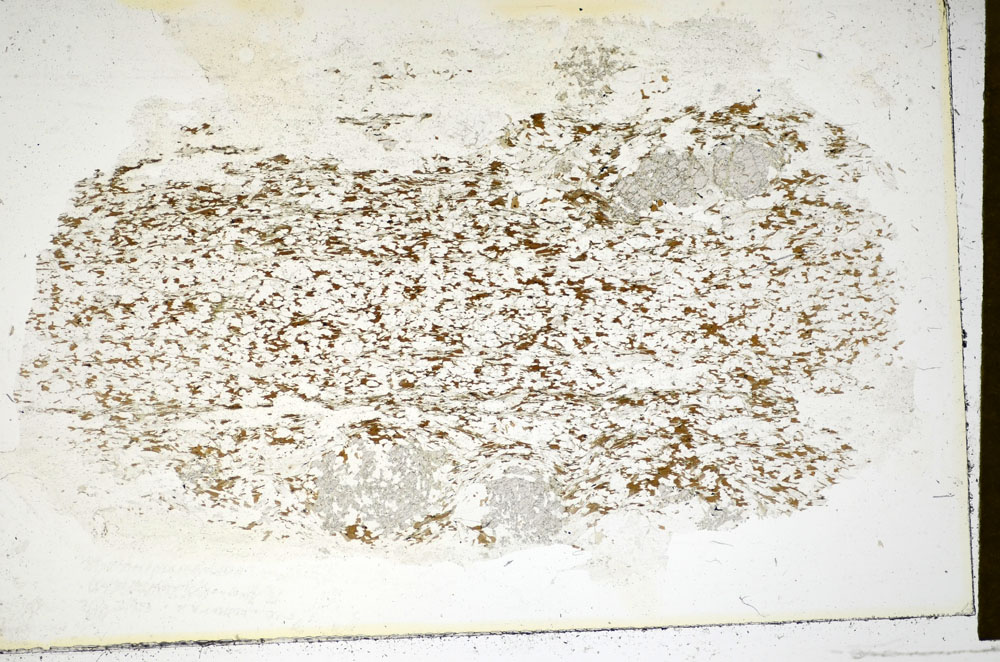 Plane Polarized, S85322