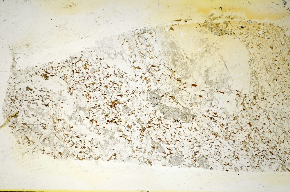 Plane Polarized, S85324