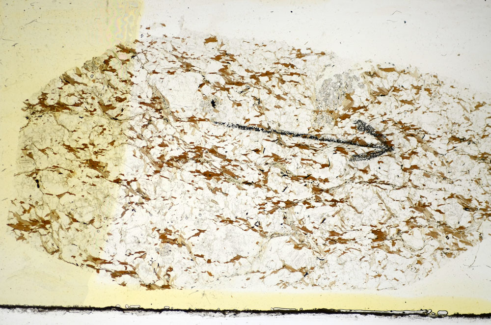 Plane Polarized, S85325