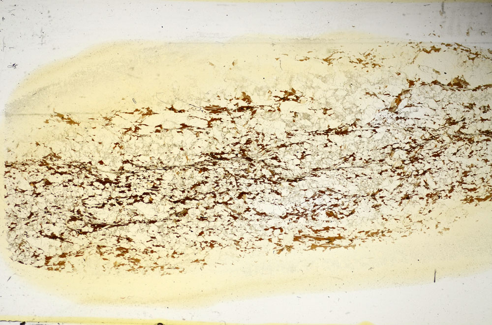 Plane Polarized, S85327