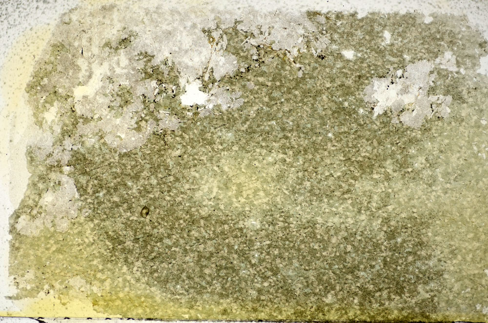 Plane Polarized, S85329