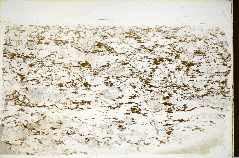 Plane Polarized, S85331