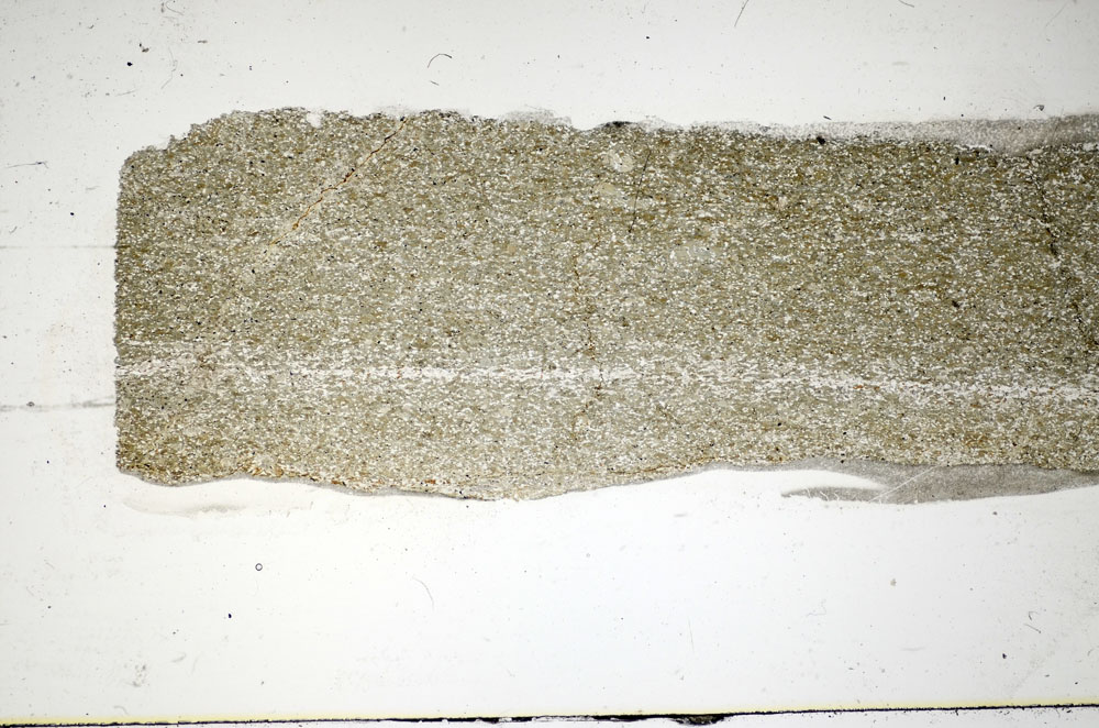Plane Polarized, S85334