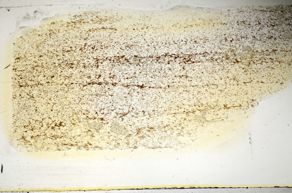 Plane Polarized, S85337