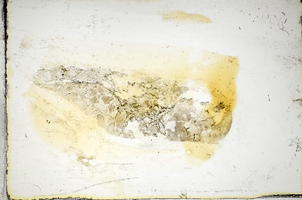 Plane Polarized, S85344