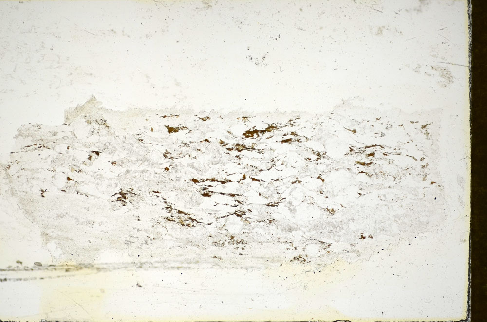 Plane Polarized, S85345
