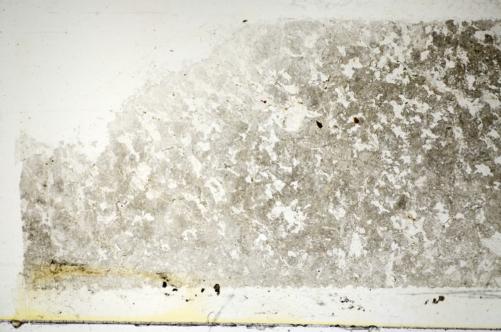 Plane Polarized, S85346
