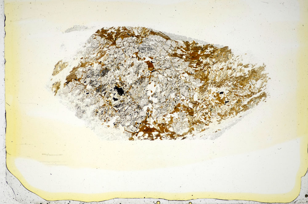Plane Polarized, S85348