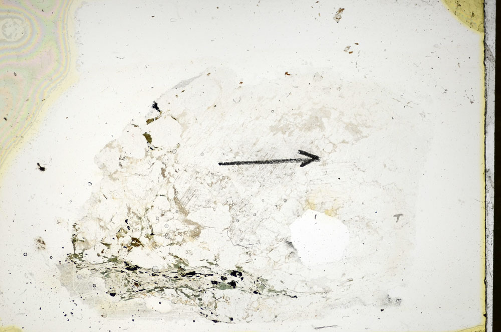 Plane Polarized, S85355