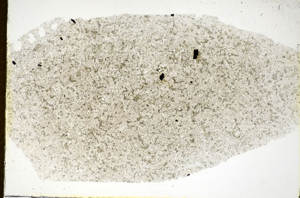 Plane Polarized, S85363