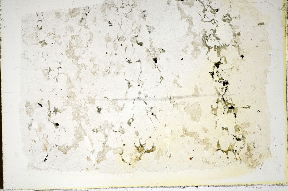 Plane Polarized, S85369