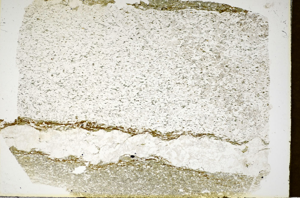 Plane Polarized, S85375