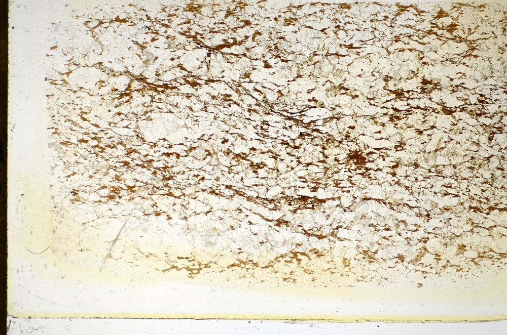 Plane Polarized, S85377