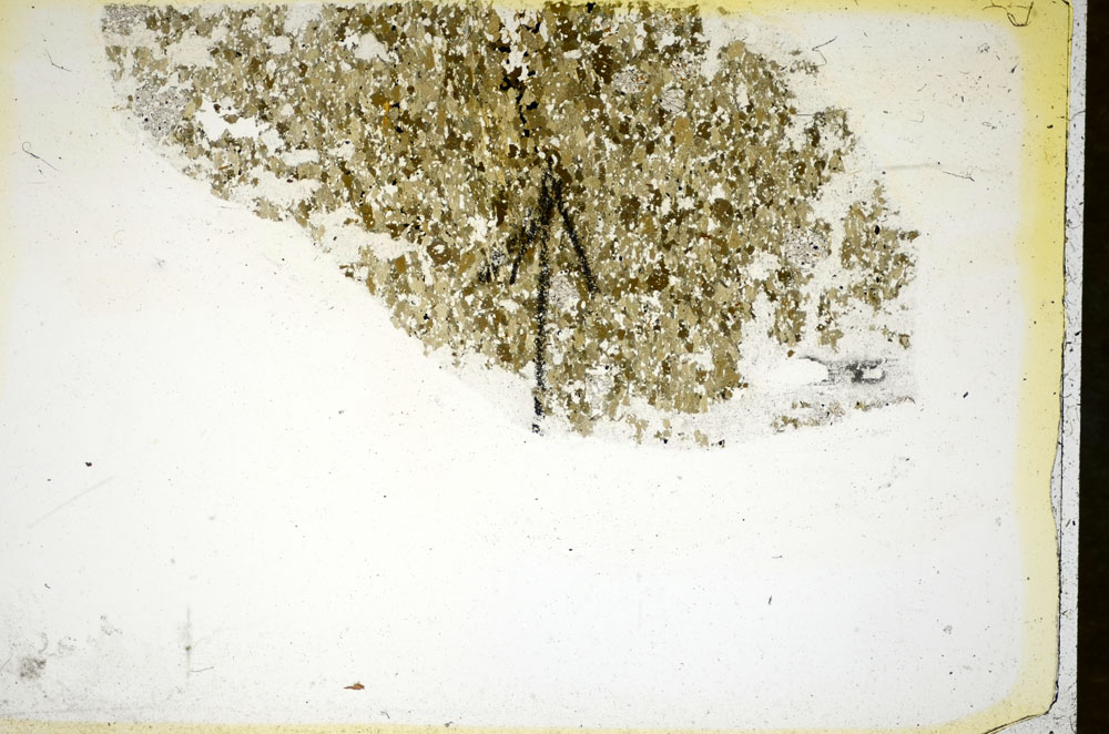 Plane Polarized, S85378