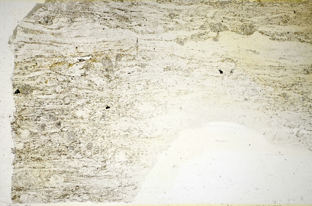 Plane Polarized, S85389