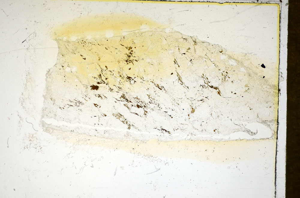 Plane Polarized, S85394