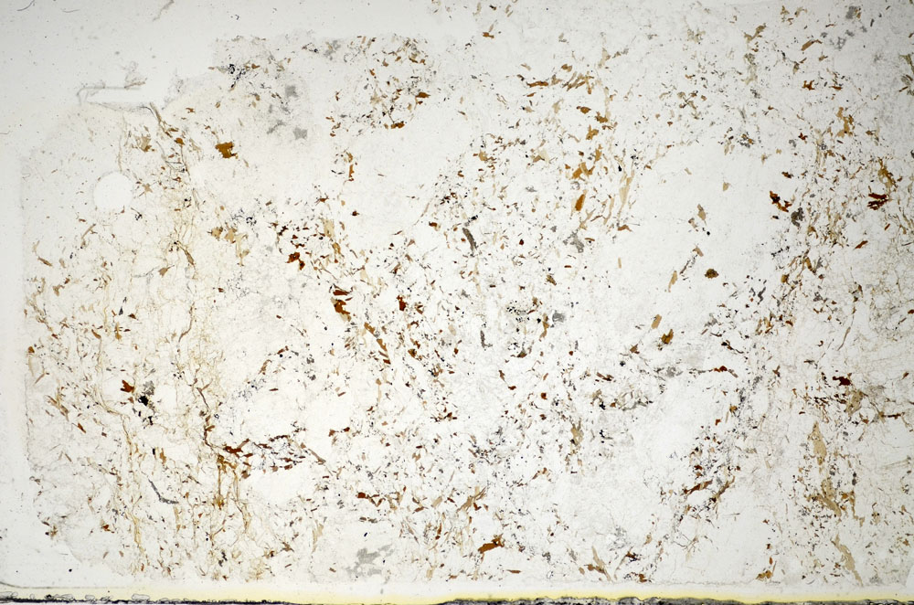 Plane Polarized, S85407