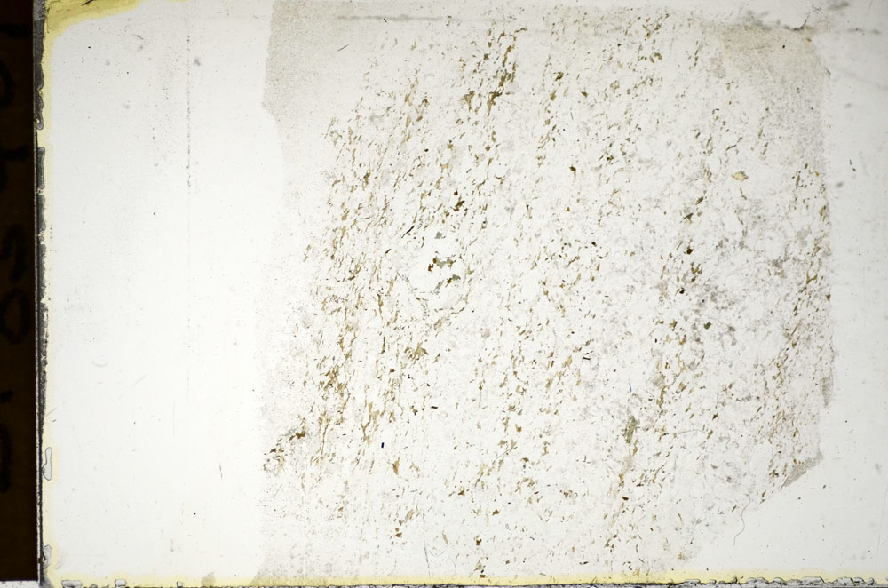 Plane Polarized, S85409