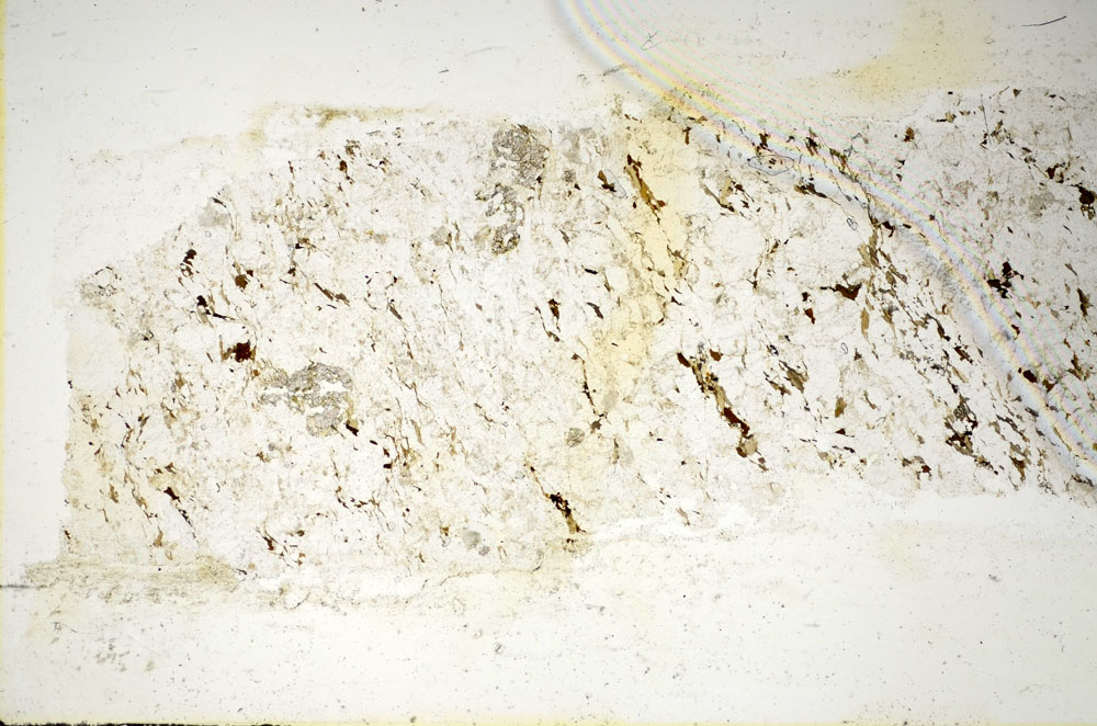Plane Polarized, S85410